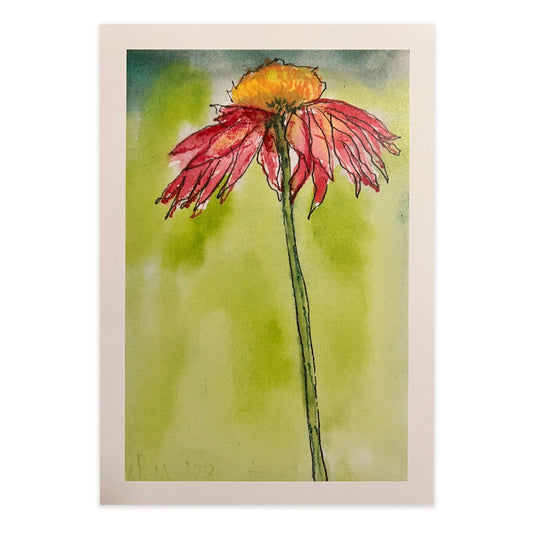 Echinacea Flower - Original Watercolor