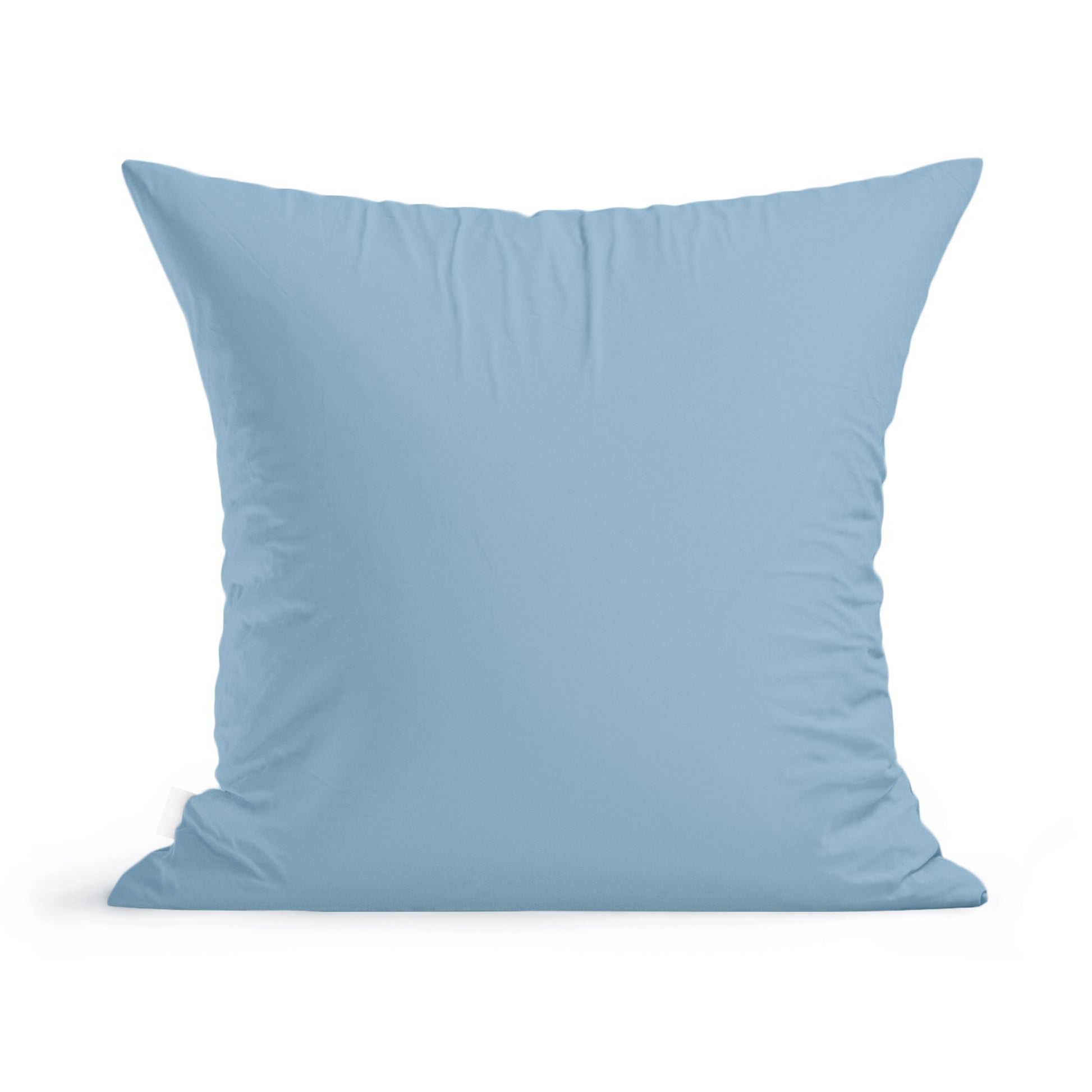 A light blue Rustic County Little Birds Pillow isolated on a white background.